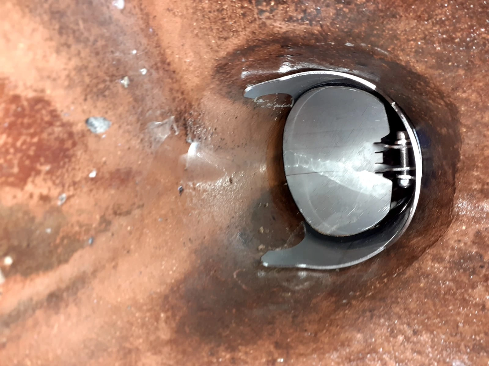 Davis Drain Services: Rodent investigation