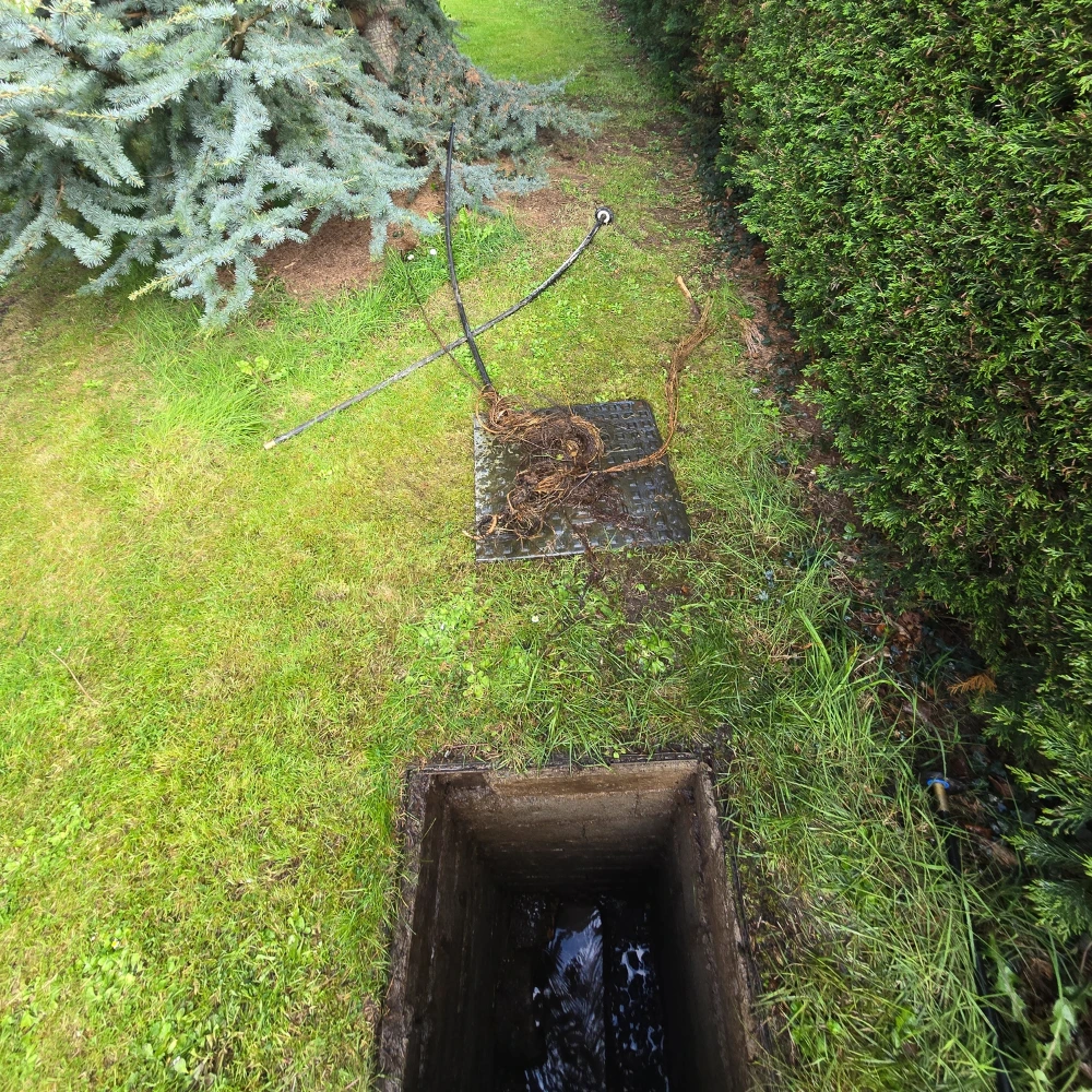 Davis Drain Services: Root cutting